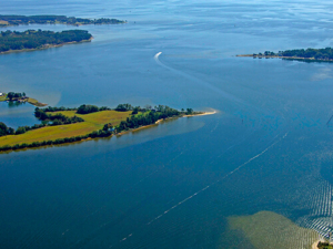 Lower Wicomico River